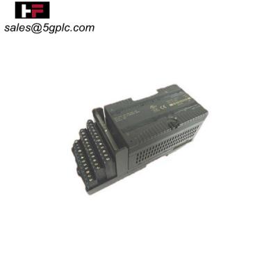 GE Fanuc IC200ERM002E